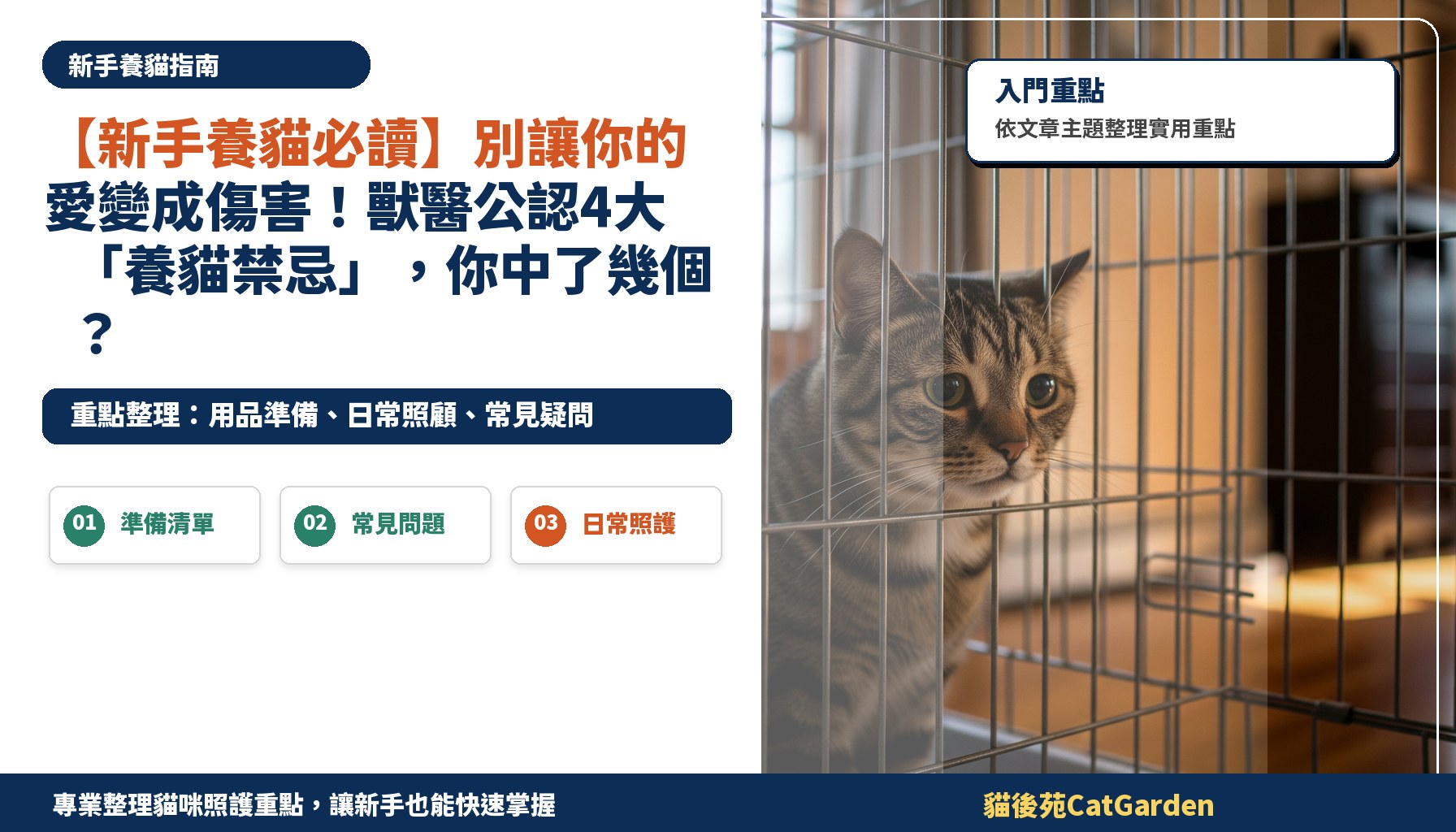 【新手養貓必讀】別讓你的愛變成傷害！獸醫公認4大「養貓禁忌」，你中了幾個？