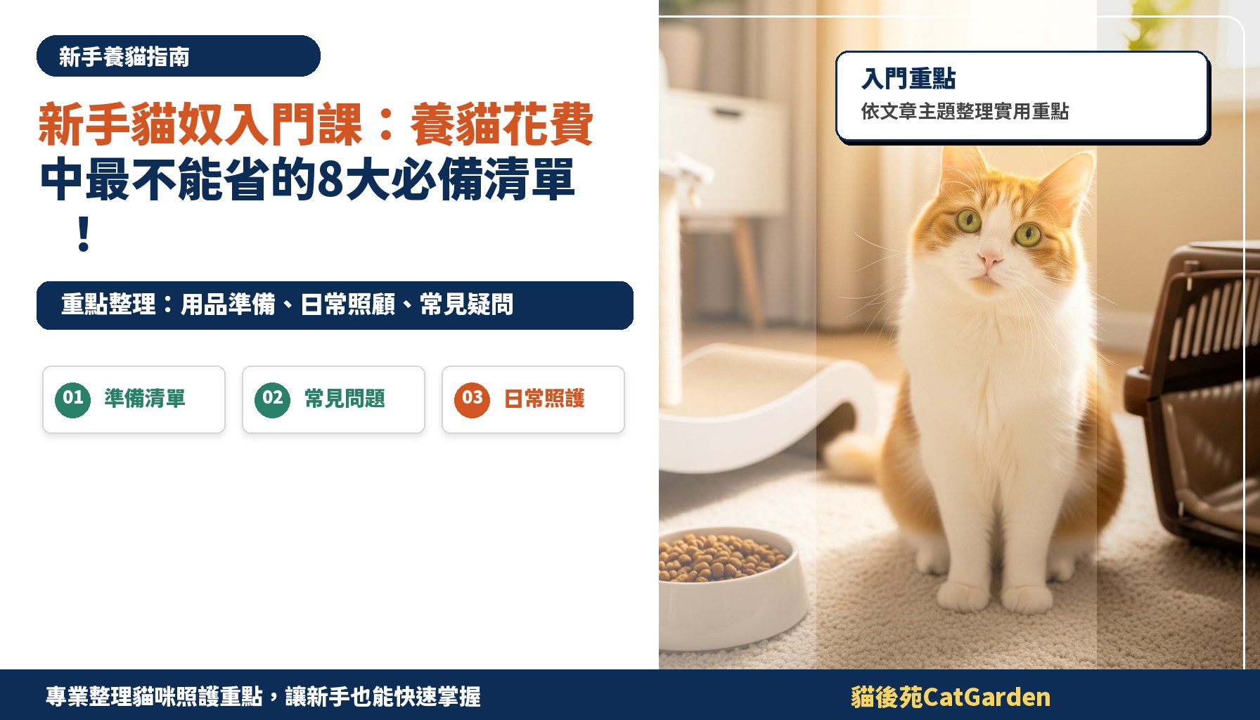 新手貓奴入門課：養貓花費中最不能省的8大必備清單！