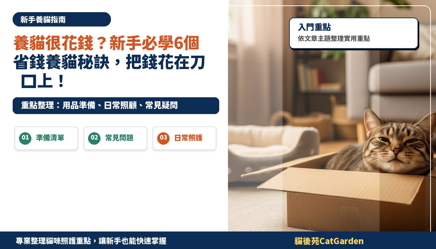 養貓很花錢？新手必學6個省錢養貓秘訣，把錢花在刀口上！