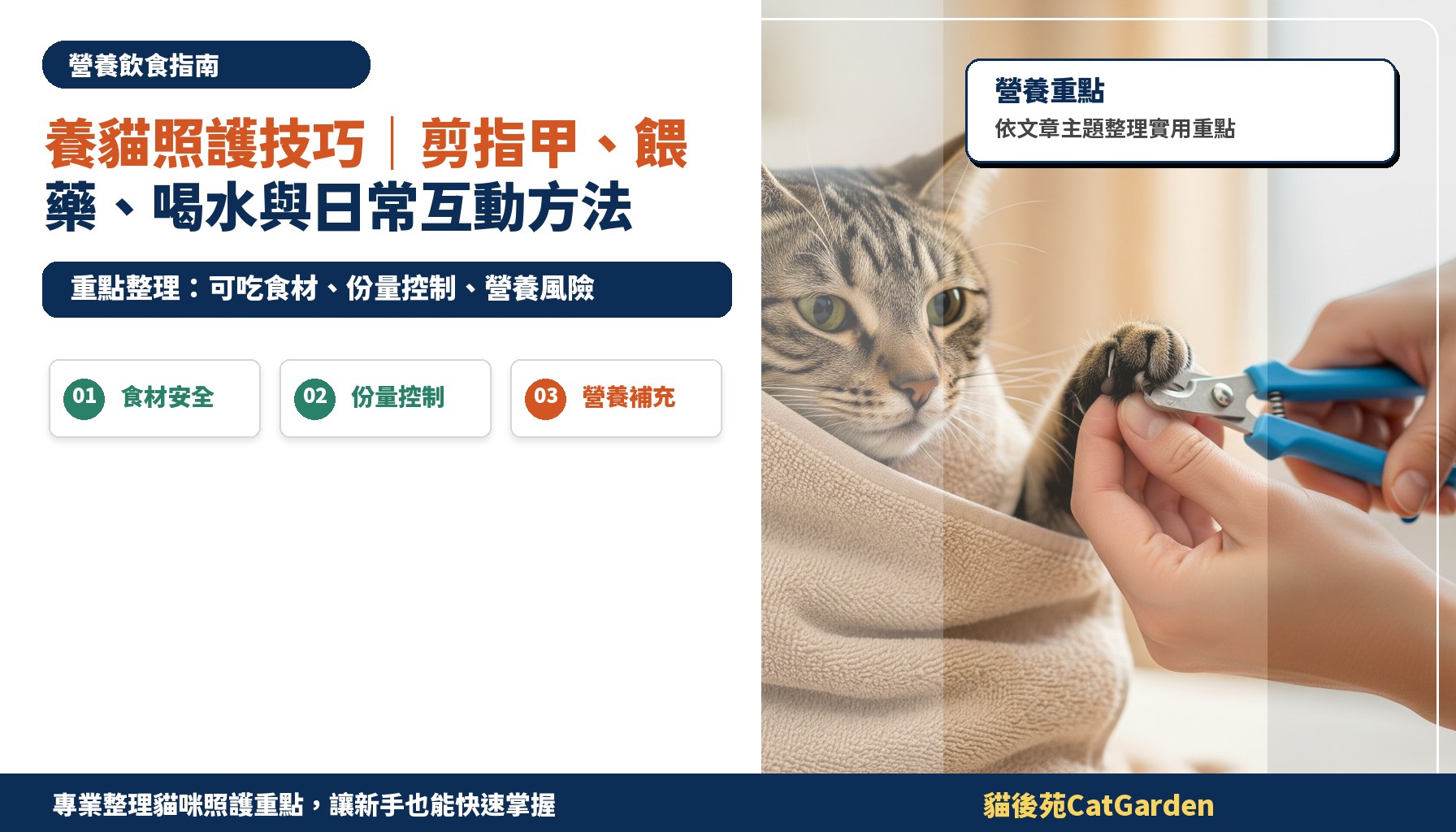 養貓照護技巧｜剪指甲、餵藥、喝水與日常互動方法