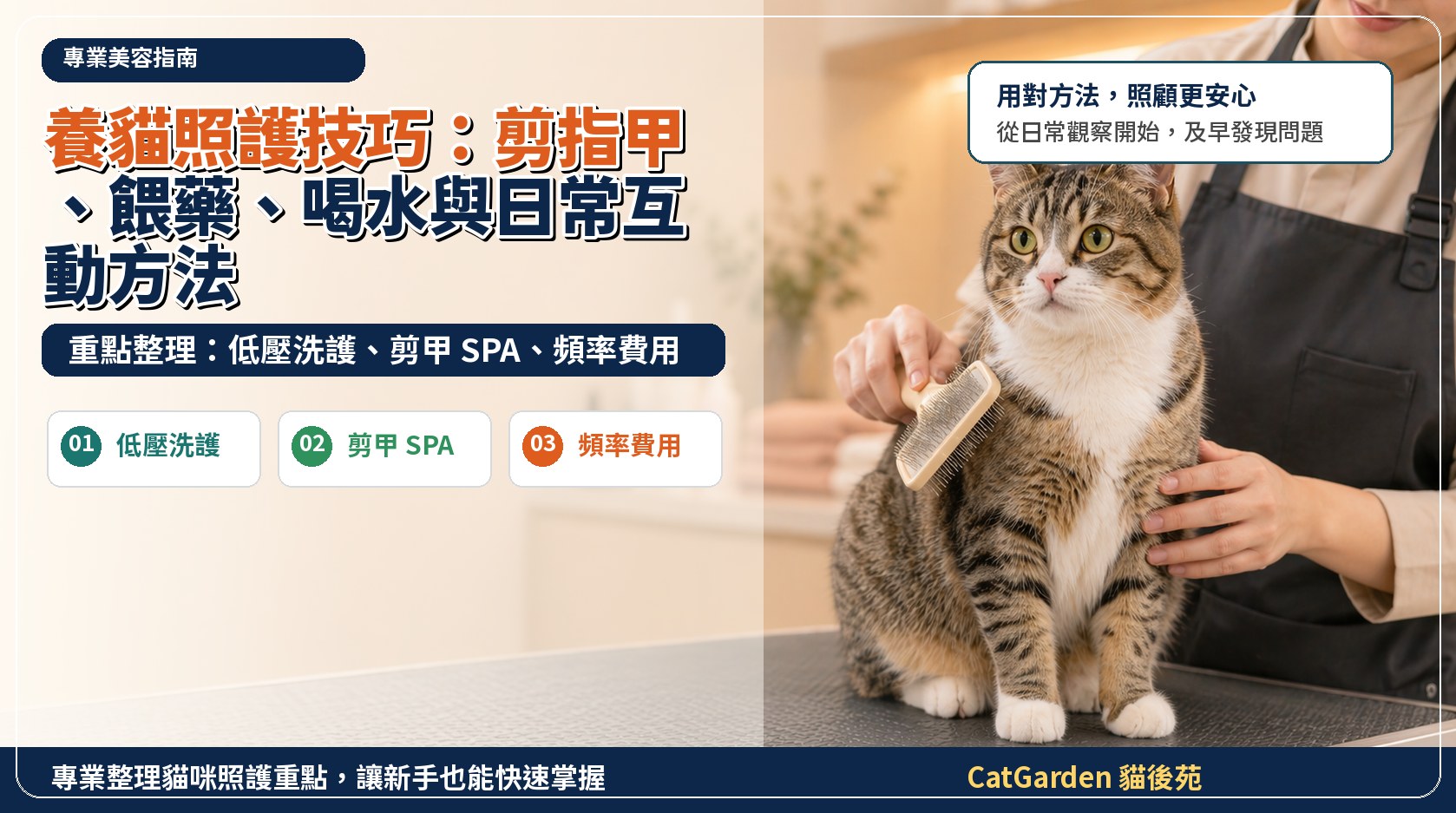 養貓照護技巧：剪指甲、餵藥、喝水與日常互動方法 封面圖