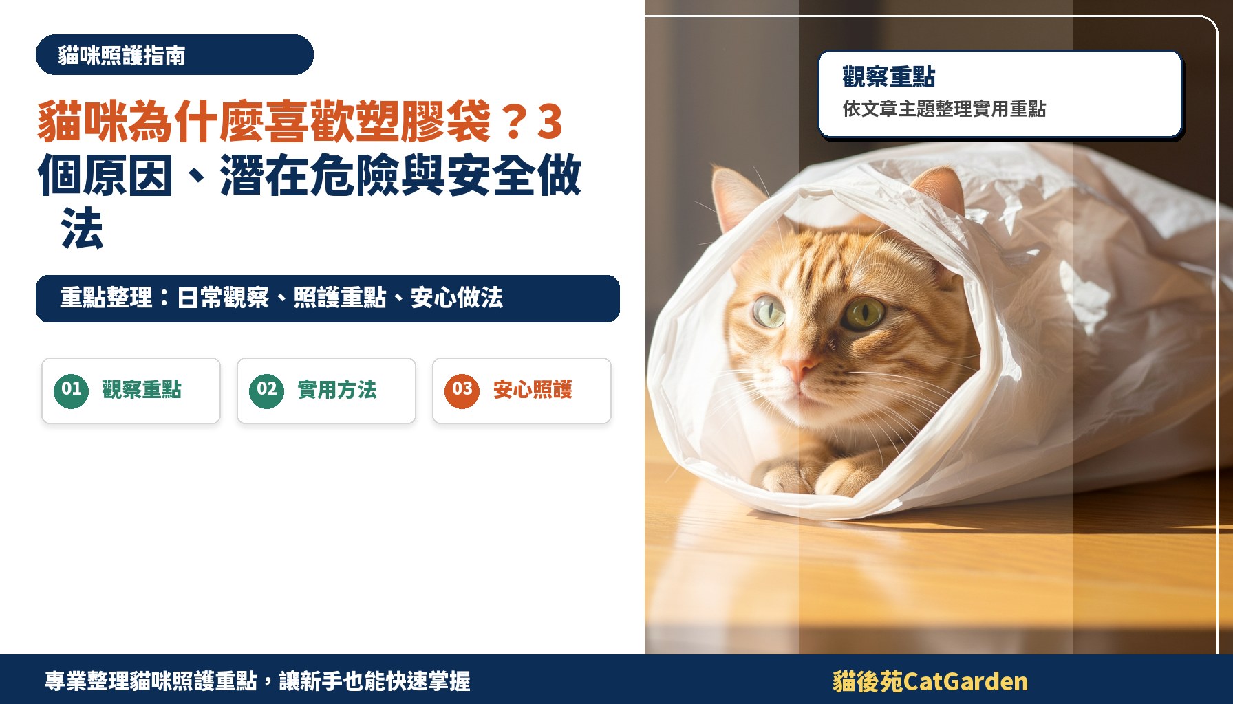 貓咪為什麼喜歡塑膠袋？3 個原因、潛在危險與安全做法