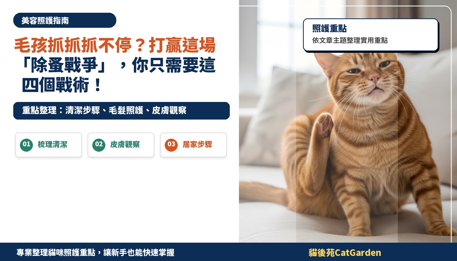 毛孩抓抓抓不停？打贏這場「除蚤戰爭」，你只需要這四個戰術！