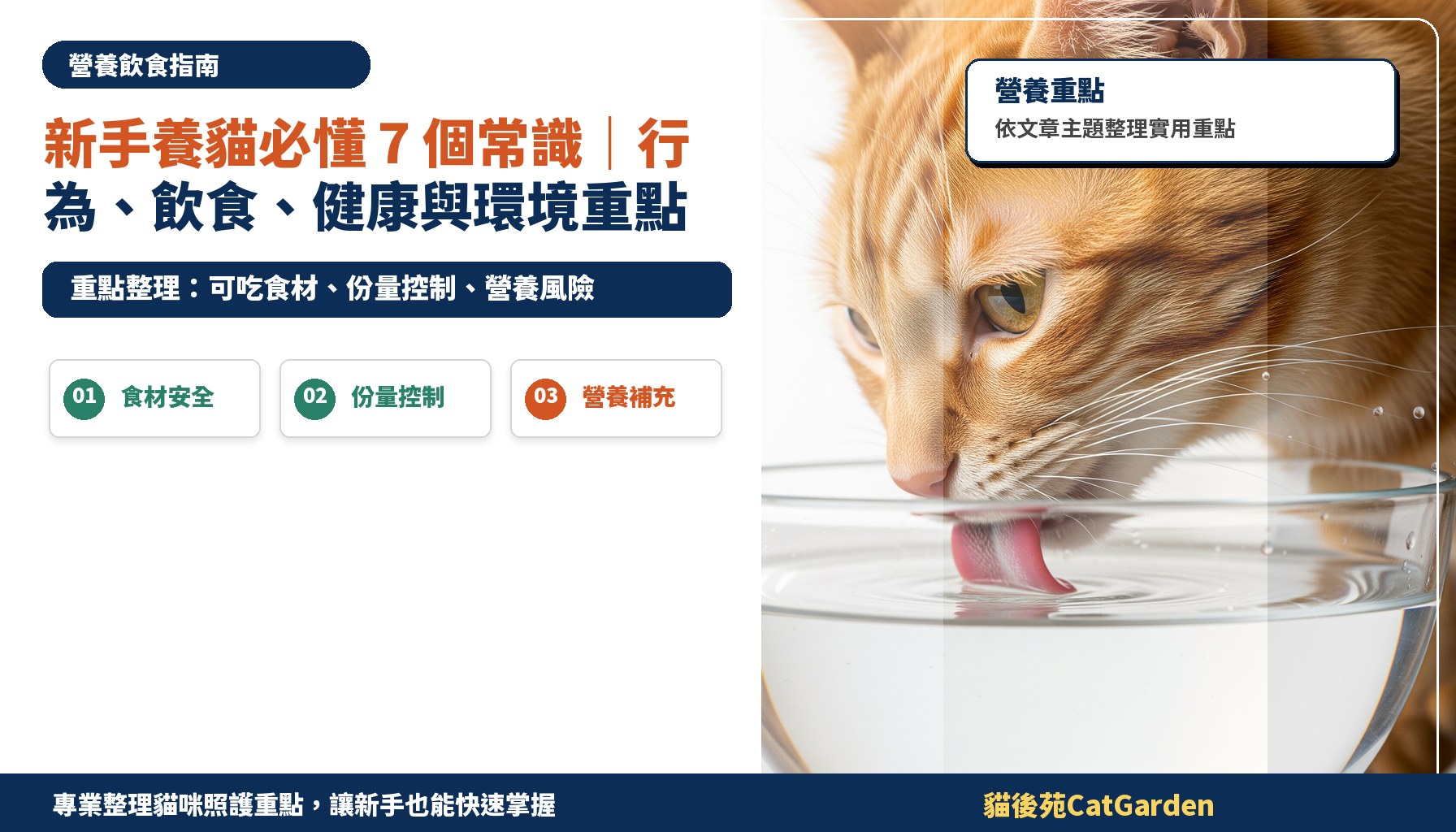 新手養貓必懂 7 個常識｜行為、飲食、健康與環境重點