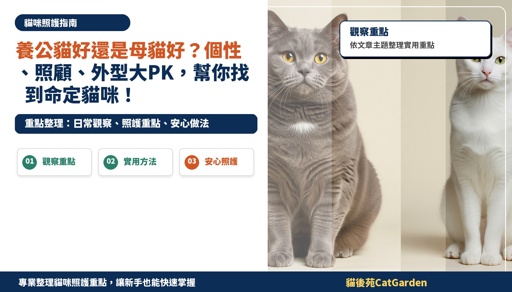 養公貓好還是母貓好？個性、照顧、外型大PK，幫你找到命定貓咪！