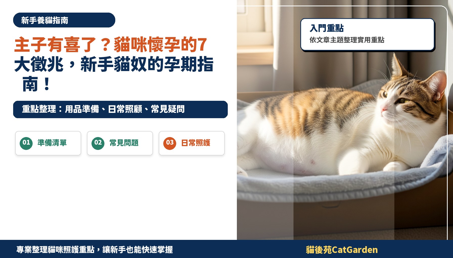 主子有喜了？貓咪懷孕的7大徵兆，新手貓奴的孕期指南！