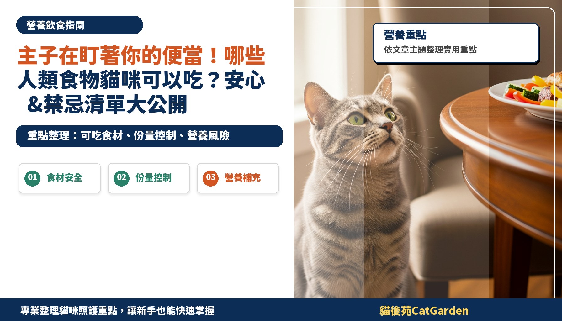 主子在盯著你的便當！哪些人類食物貓咪可以吃？安心&禁忌清單大公開