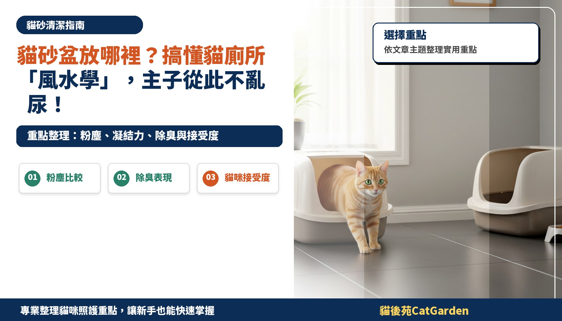 貓砂盆放哪裡？搞懂貓廁所「風水學」，主子從此不亂尿！