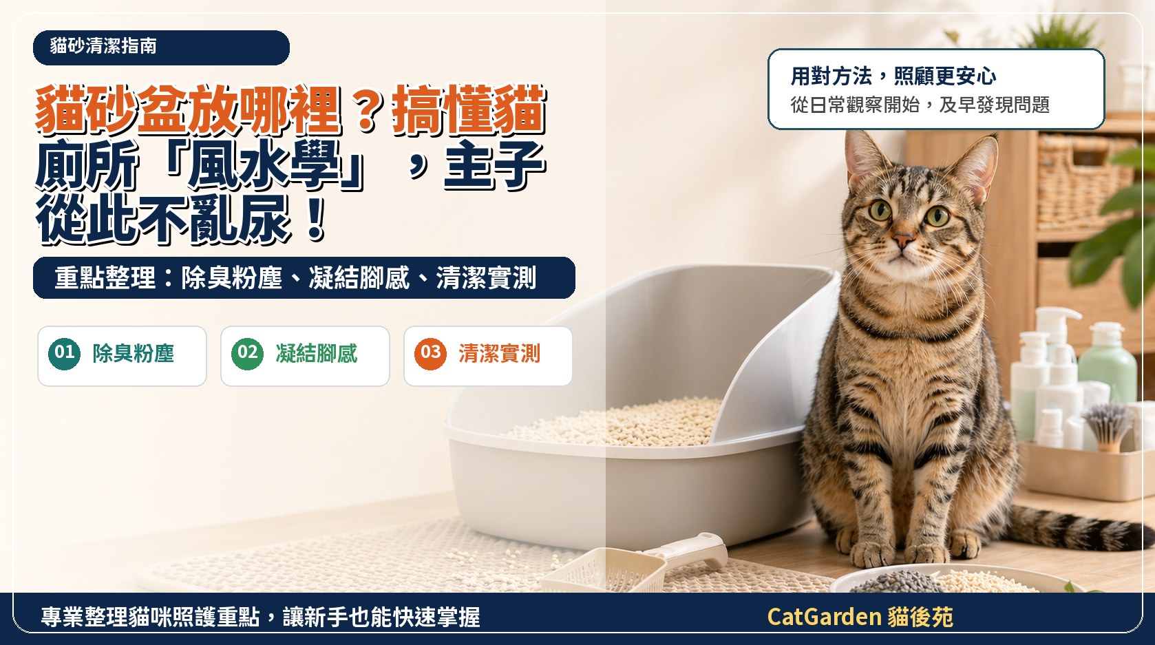 貓砂盆放哪裡？搞懂貓廁所「風水學」，主子從此不亂尿！ 封面圖