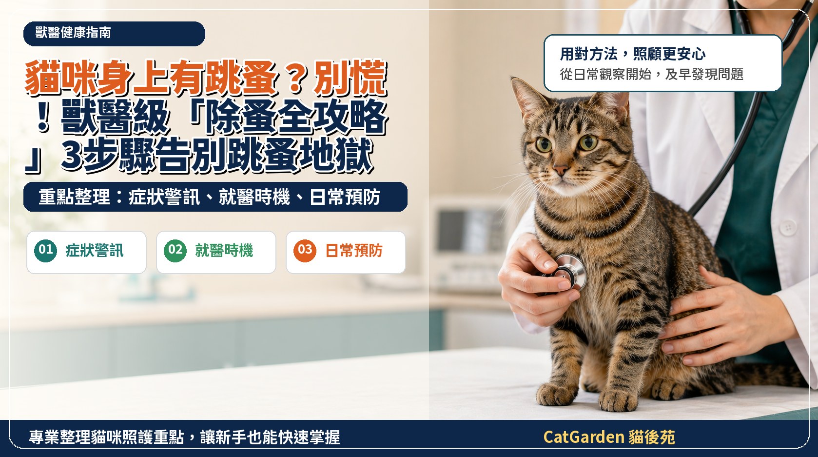 貓咪身上有跳蚤？別慌！獸醫級「除蚤全攻略」3步驟告別跳蚤地獄 封面圖