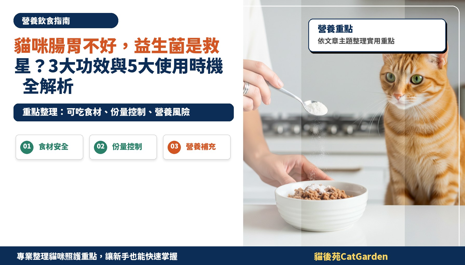 貓咪腸胃不好，益生菌是救星？3大功效與5大使用時機全解析