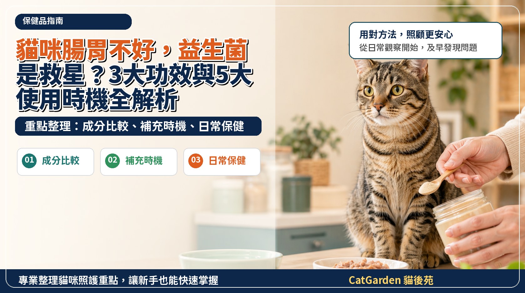 貓咪腸胃不好，益生菌是救星？3大功效與5大使用時機全解析 封面圖