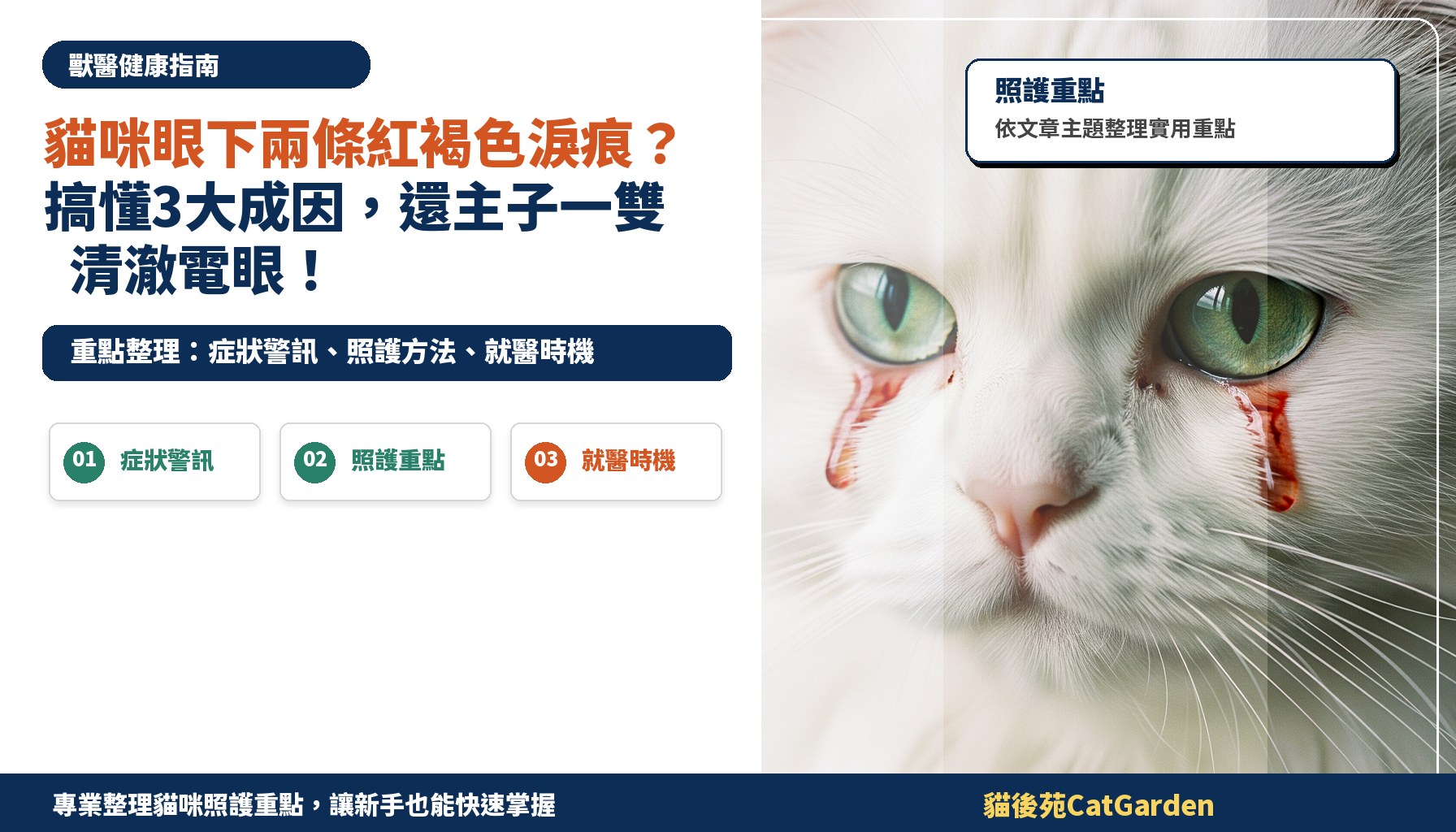 貓咪眼下兩條紅褐色淚痕？搞懂3大成因，還主子一雙清澈電眼！
