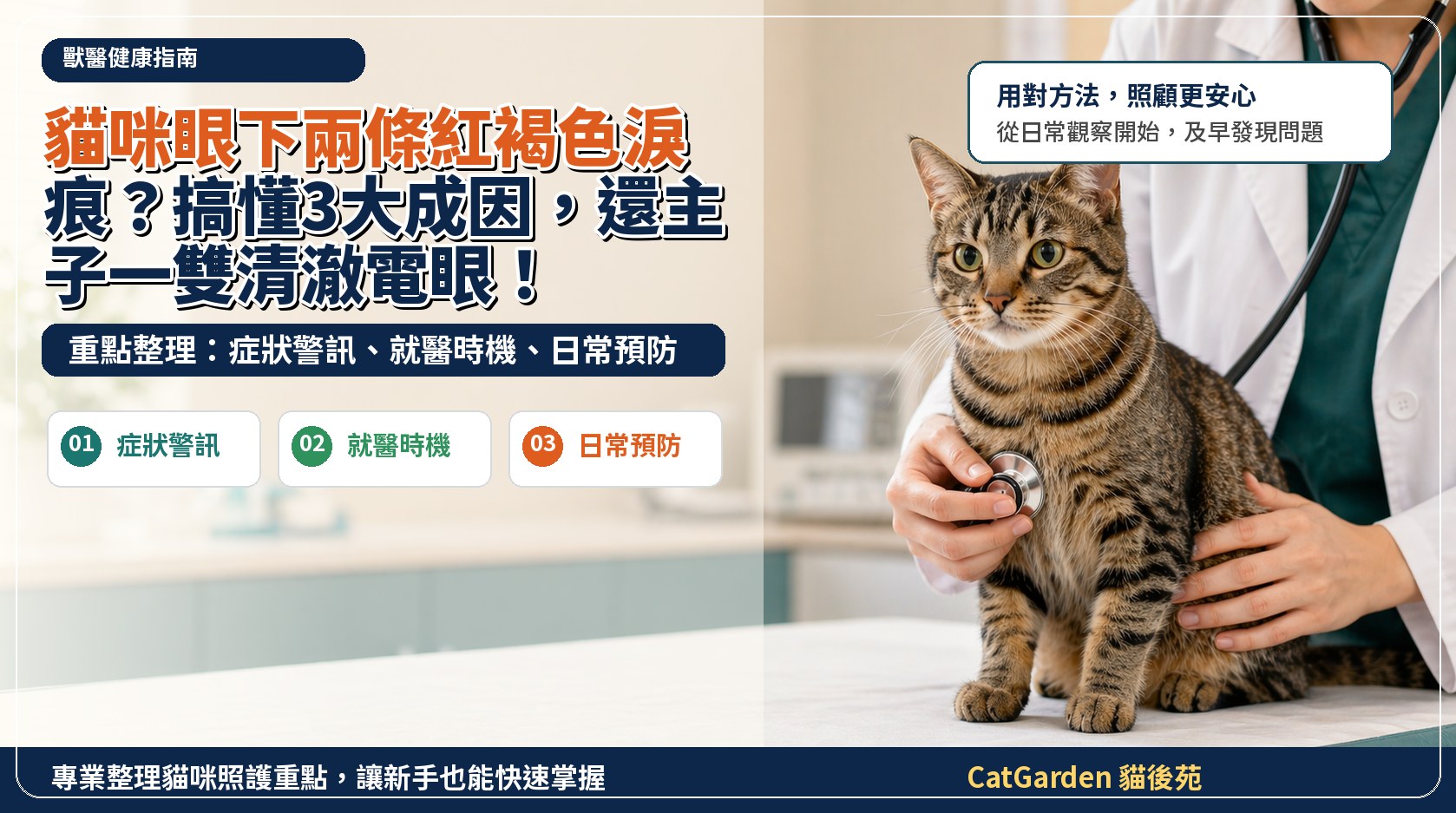 貓咪眼下兩條紅褐色淚痕？搞懂3大成因，還主子一雙清澈電眼！ 封面圖