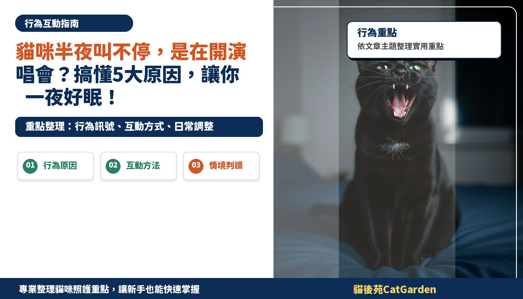 貓咪半夜叫不停，是在開演唱會？搞懂5大原因，讓你一夜好眠！