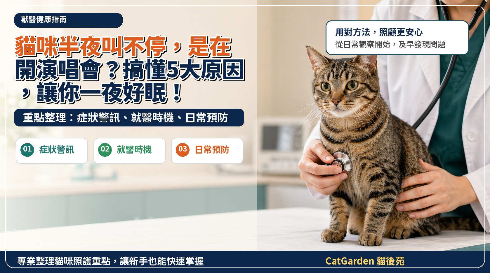 貓咪半夜叫不停，是在開演唱會？搞懂5大原因，讓你一夜好眠！ 封面圖
