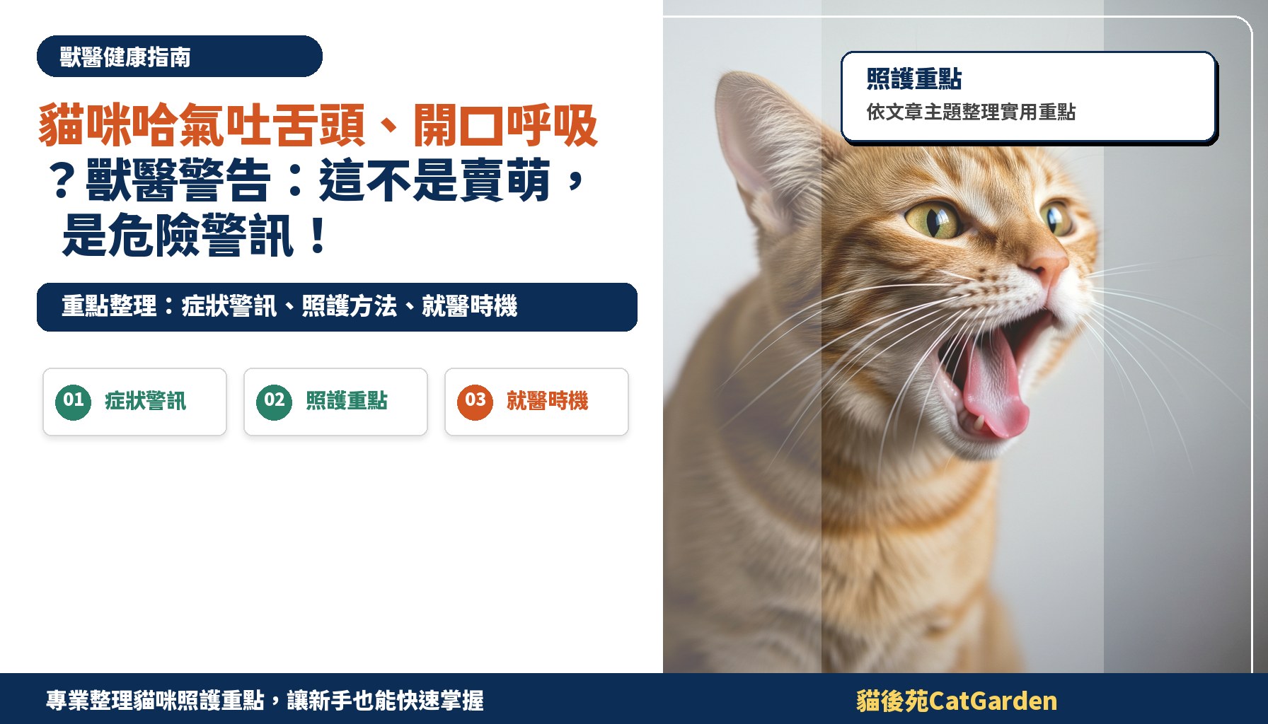 貓咪哈氣吐舌頭、開口呼吸？獸醫警告：這不是賣萌，是危險警訊！