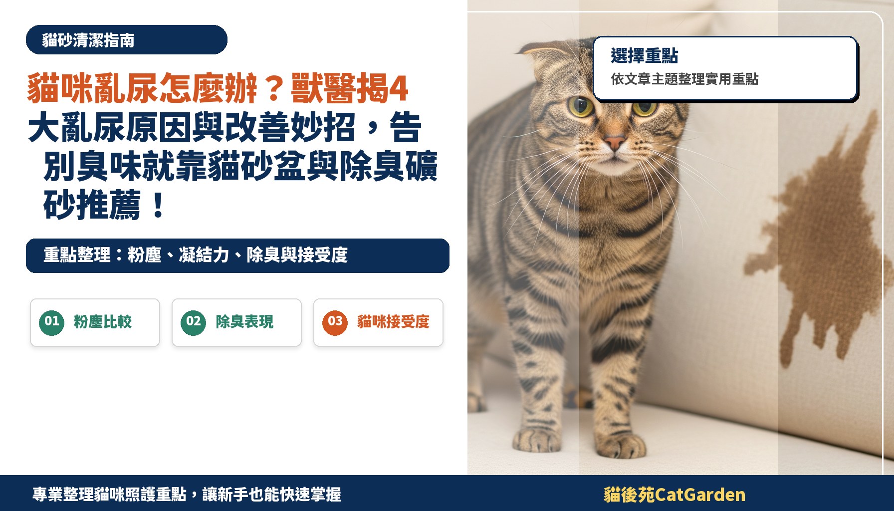 貓咪亂尿怎麼辦？獸醫揭4大亂尿原因與改善妙招，告別臭味就靠貓砂盆與除臭礦砂推薦！