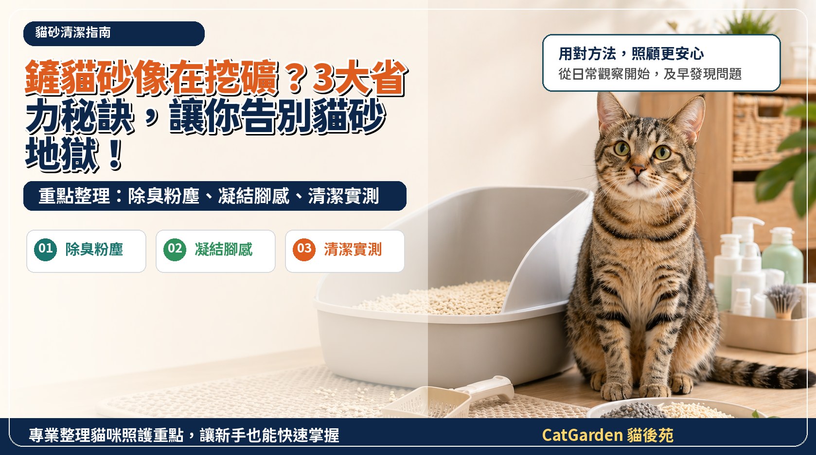 鏟貓砂像在挖礦？3大省力秘訣，讓你告別貓砂地獄！ 封面圖