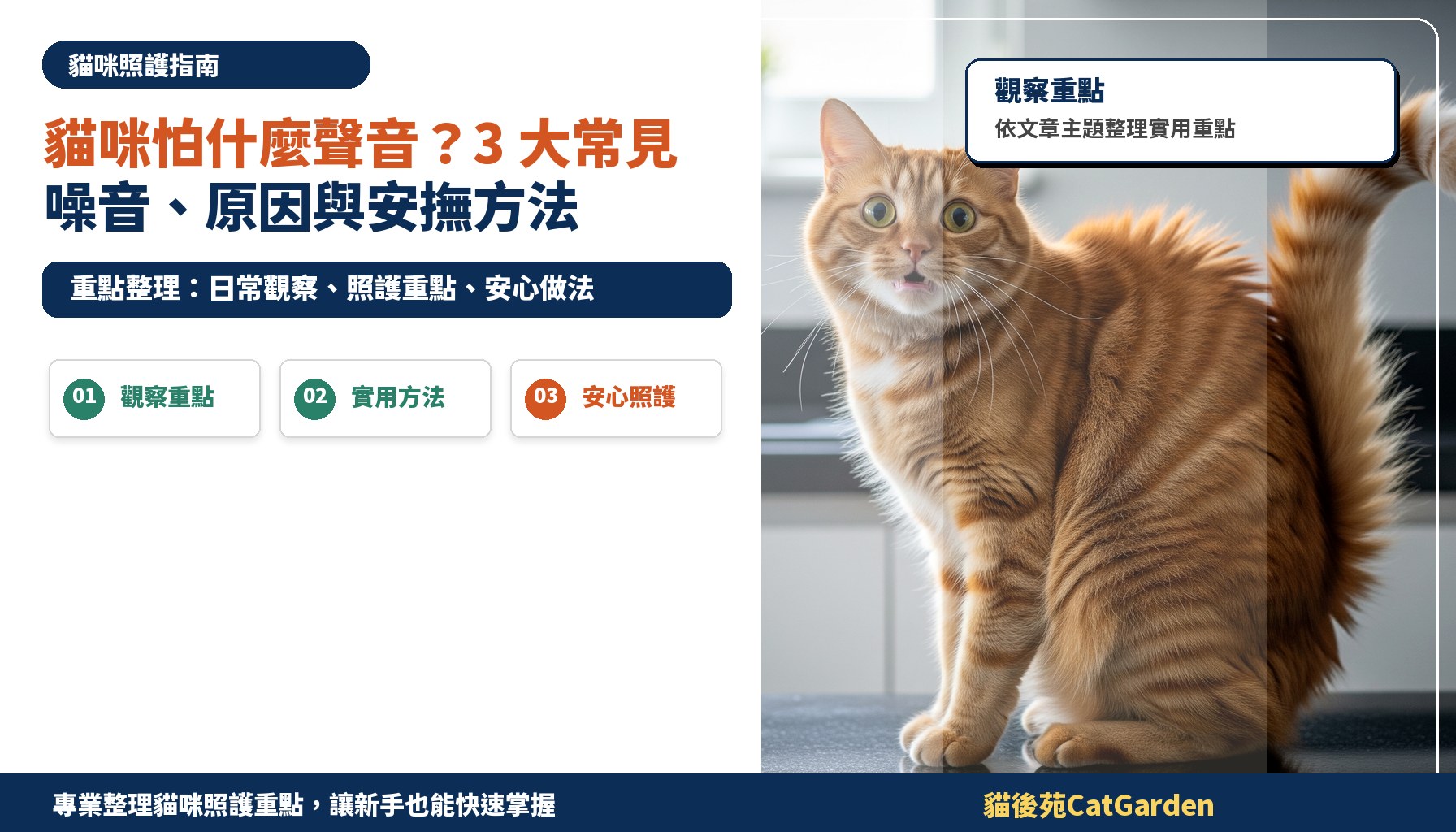 貓咪怕什麼聲音？3 大常見噪音、原因與安撫方法