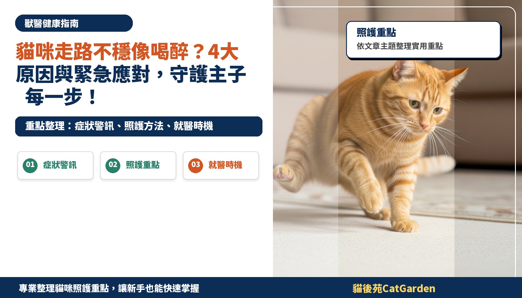 貓咪走路不穩像喝醉？4大原因與緊急應對，守護主子每一步！