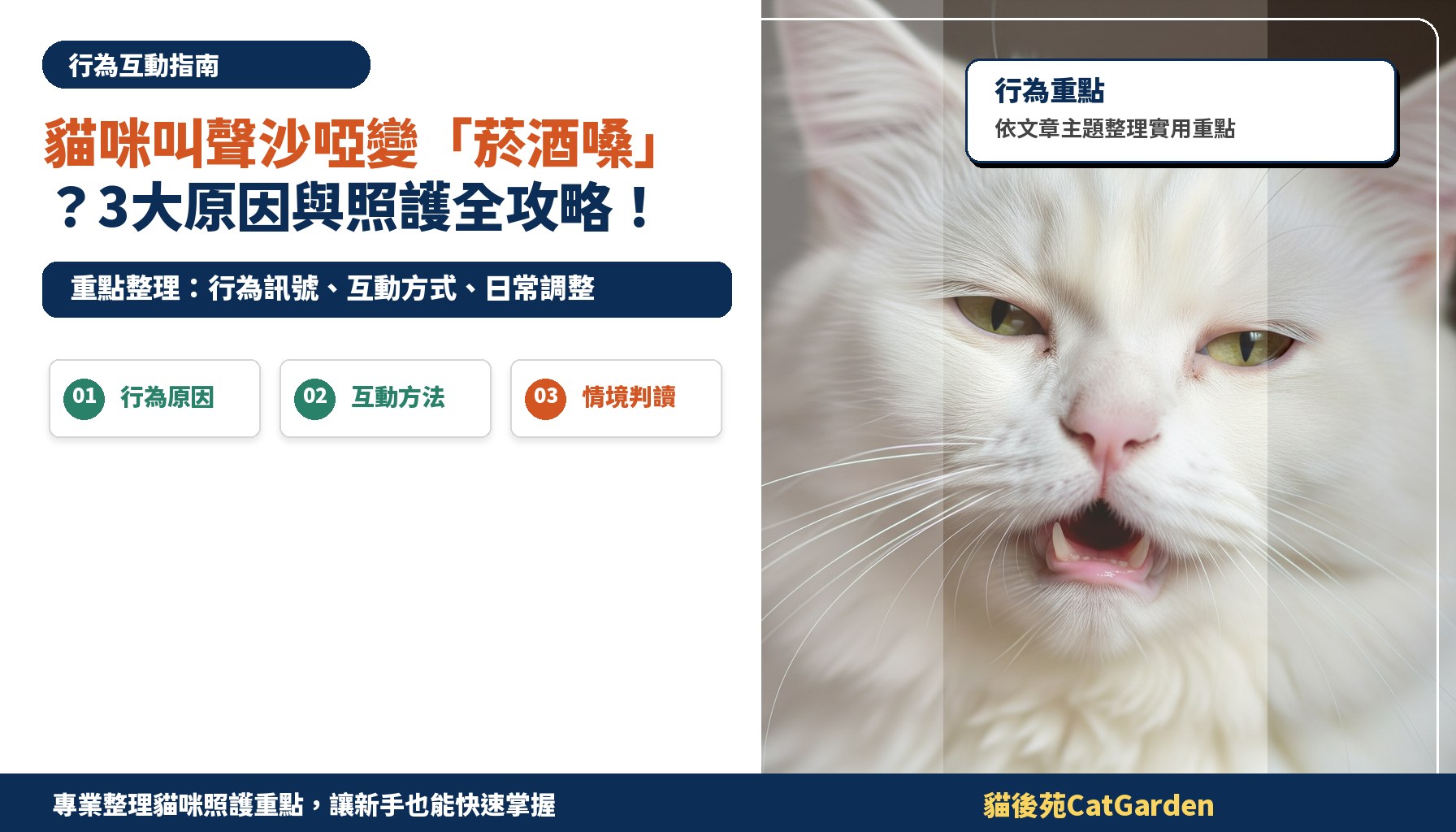 貓咪叫聲沙啞變「菸酒嗓」？3大原因與照護全攻略！