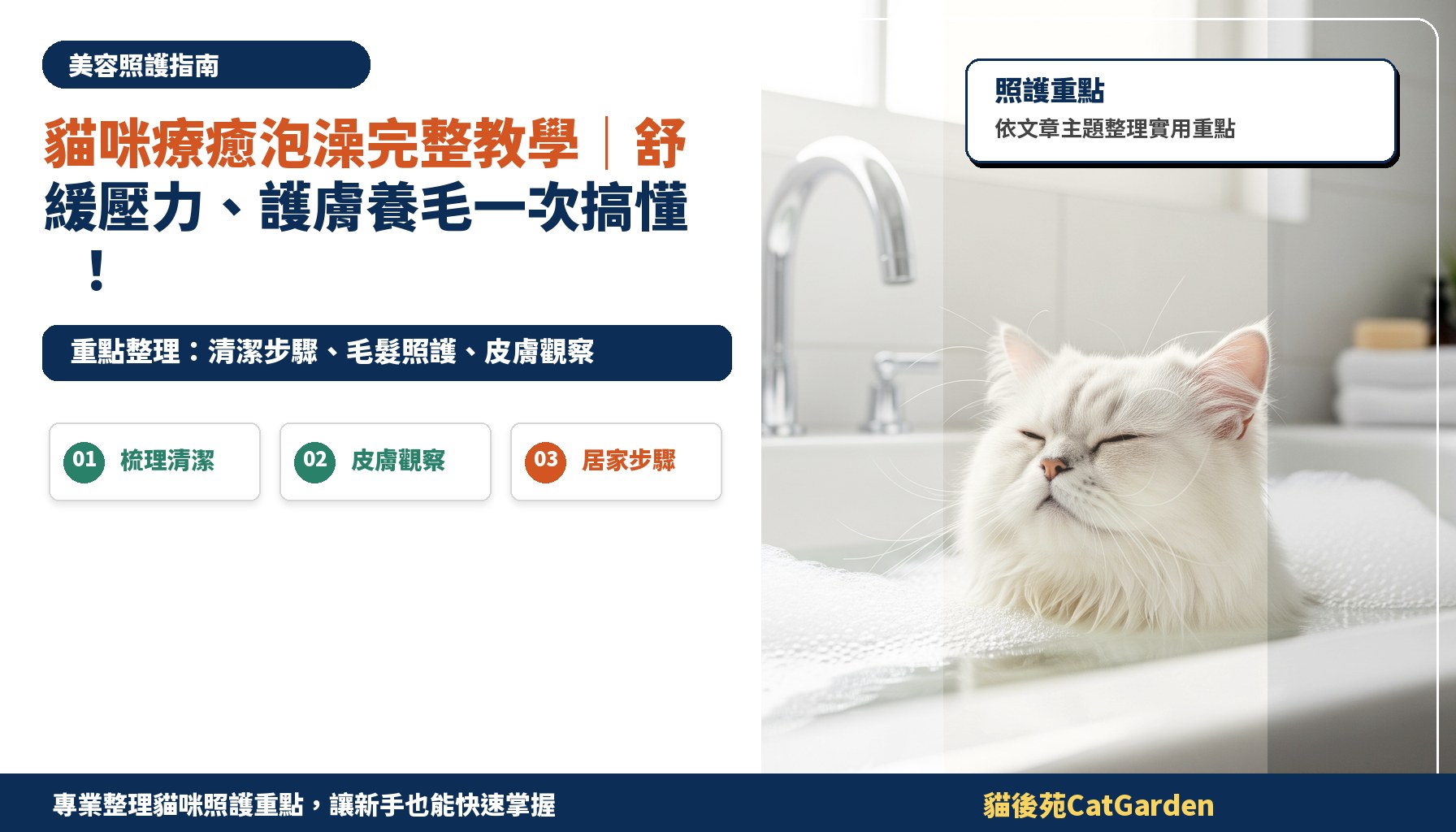 貓咪療癒泡澡完整教學｜舒緩壓力、護膚養毛一次搞懂！
