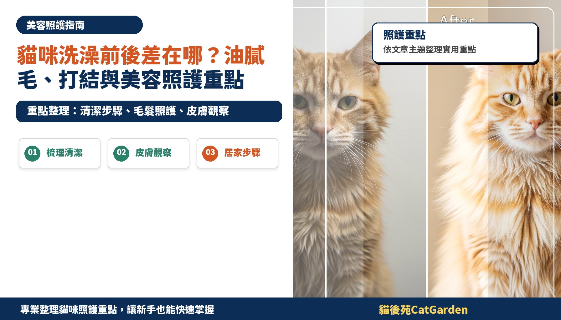 貓咪洗澡前後差在哪？油膩毛、打結與美容照護重點