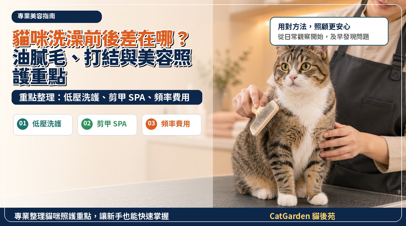 貓咪洗澡前後差在哪？油膩毛、打結與美容照護重點 封面圖