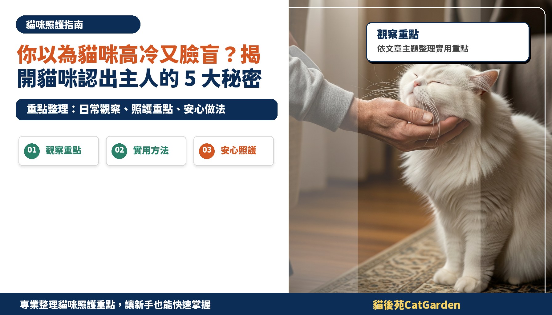 你以為貓咪高冷又臉盲？揭開貓咪認出主人的 5 大秘密