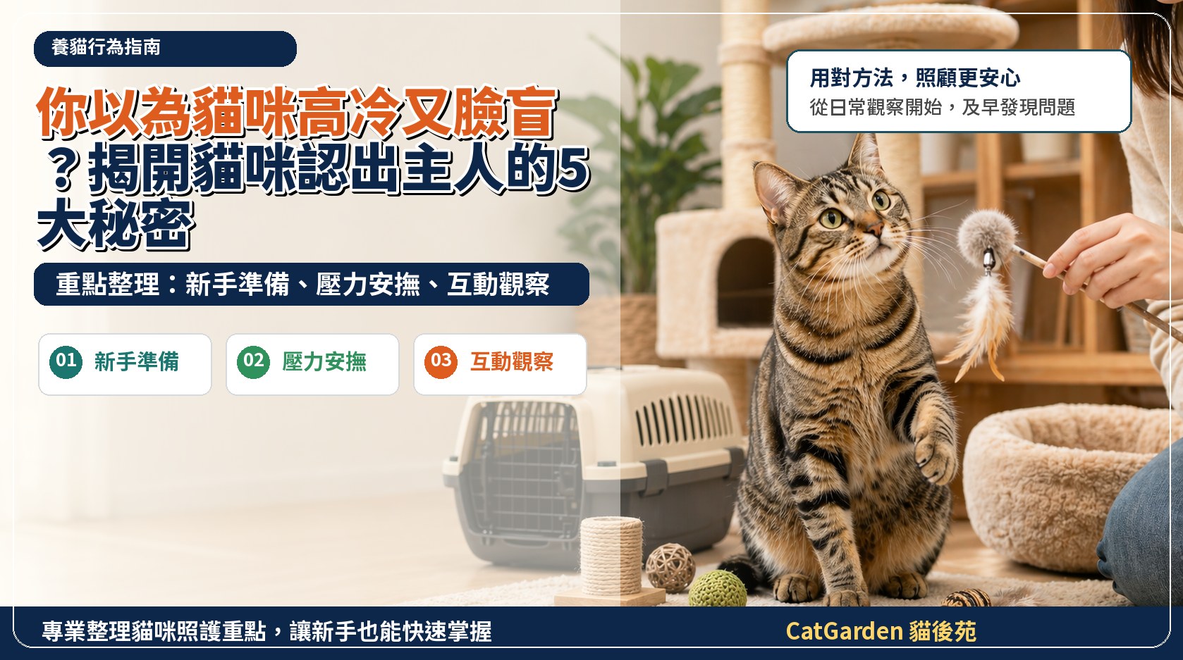 你以為貓咪高冷又臉盲？揭開貓咪認出主人的 5 大秘密 封面圖