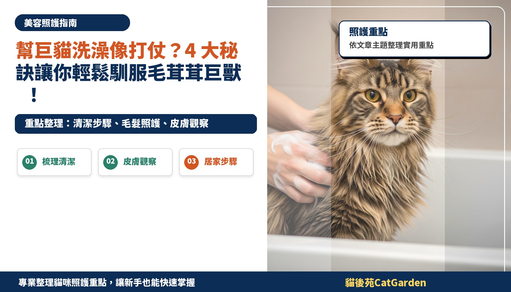 幫巨貓洗澡像打仗？4 大秘訣讓你輕鬆馴服毛茸茸巨獸！