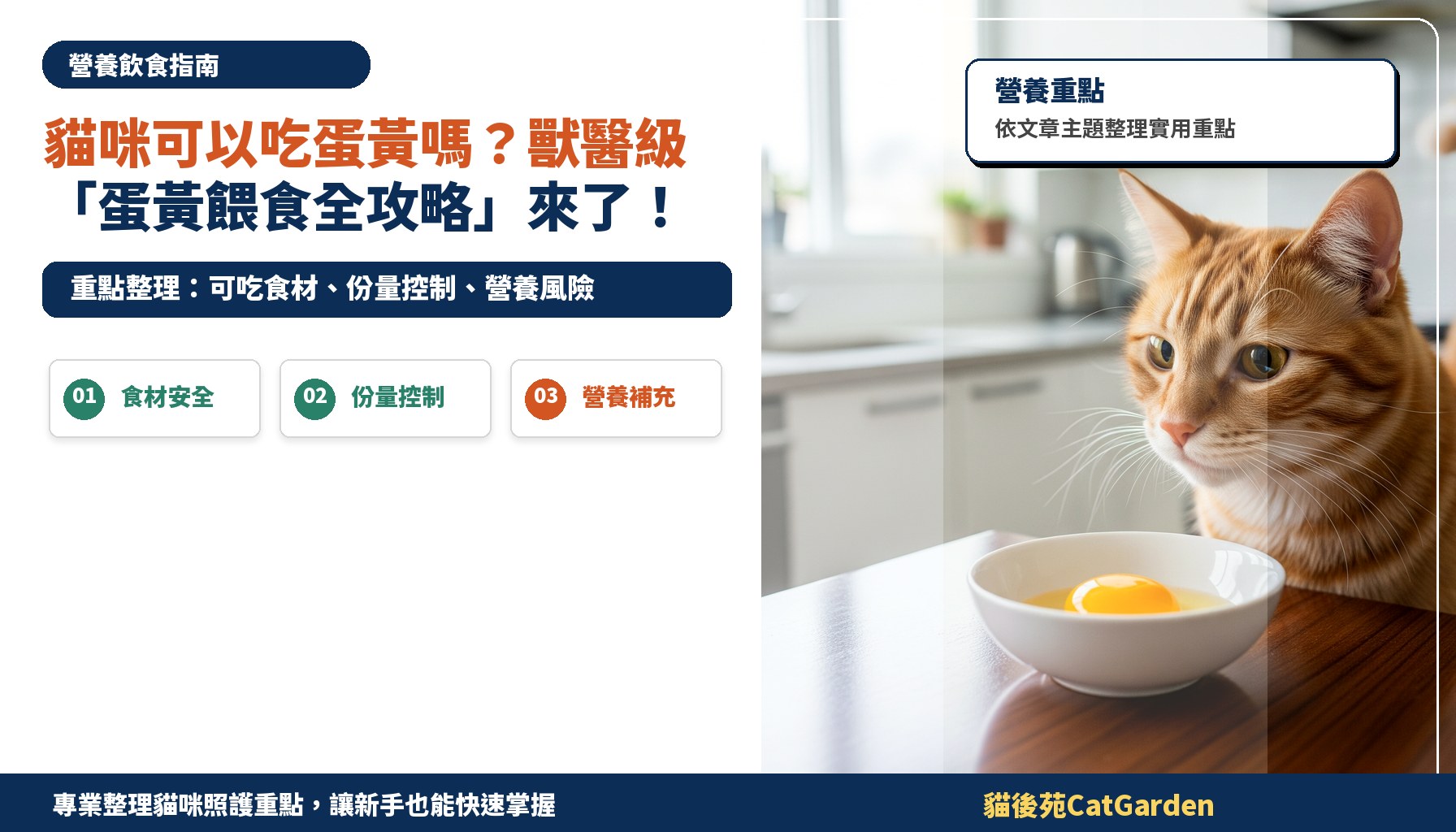貓咪可以吃蛋黃嗎？獸醫級「蛋黃餵食全攻略」來了！