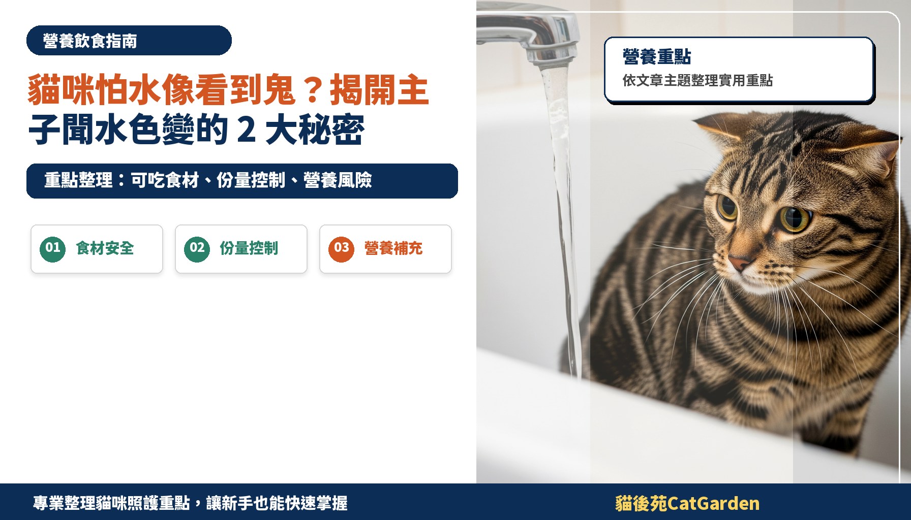 貓咪怕水像看到鬼？揭開主子聞水色變的 2 大秘密