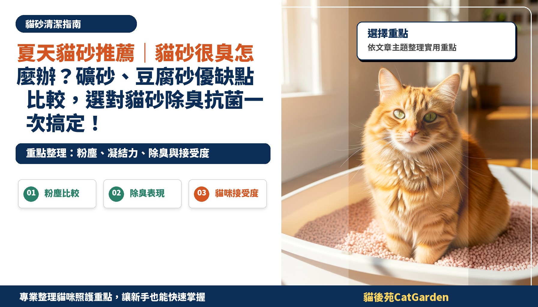 夏天貓砂推薦｜貓砂很臭怎麼辦？礦砂、豆腐砂優缺點比較，選對貓砂除臭抗菌一次搞定！