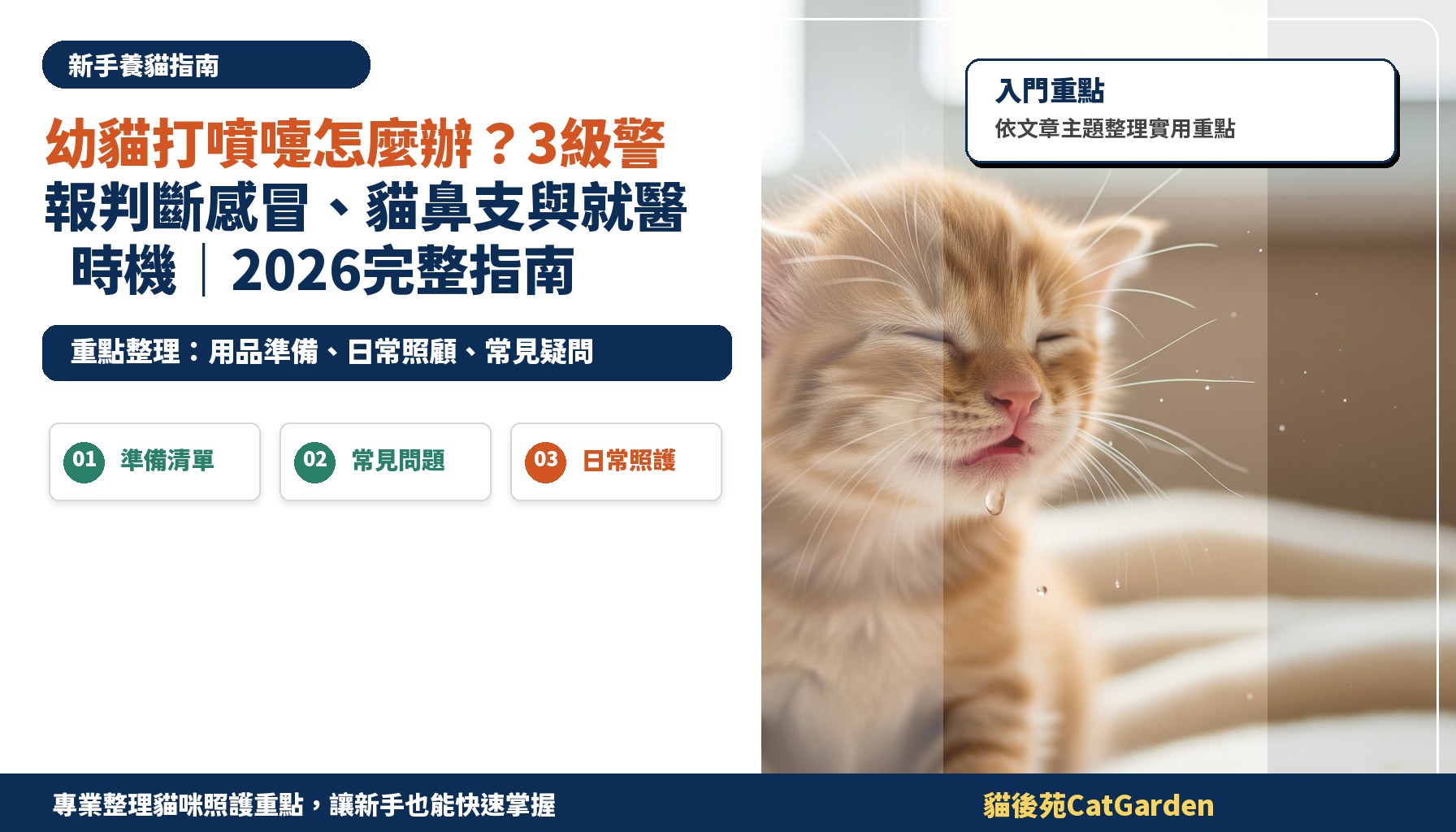 幼貓打噴嚏怎麼辦？3級警報判斷感冒、貓鼻支與就醫時機｜2026完整指南