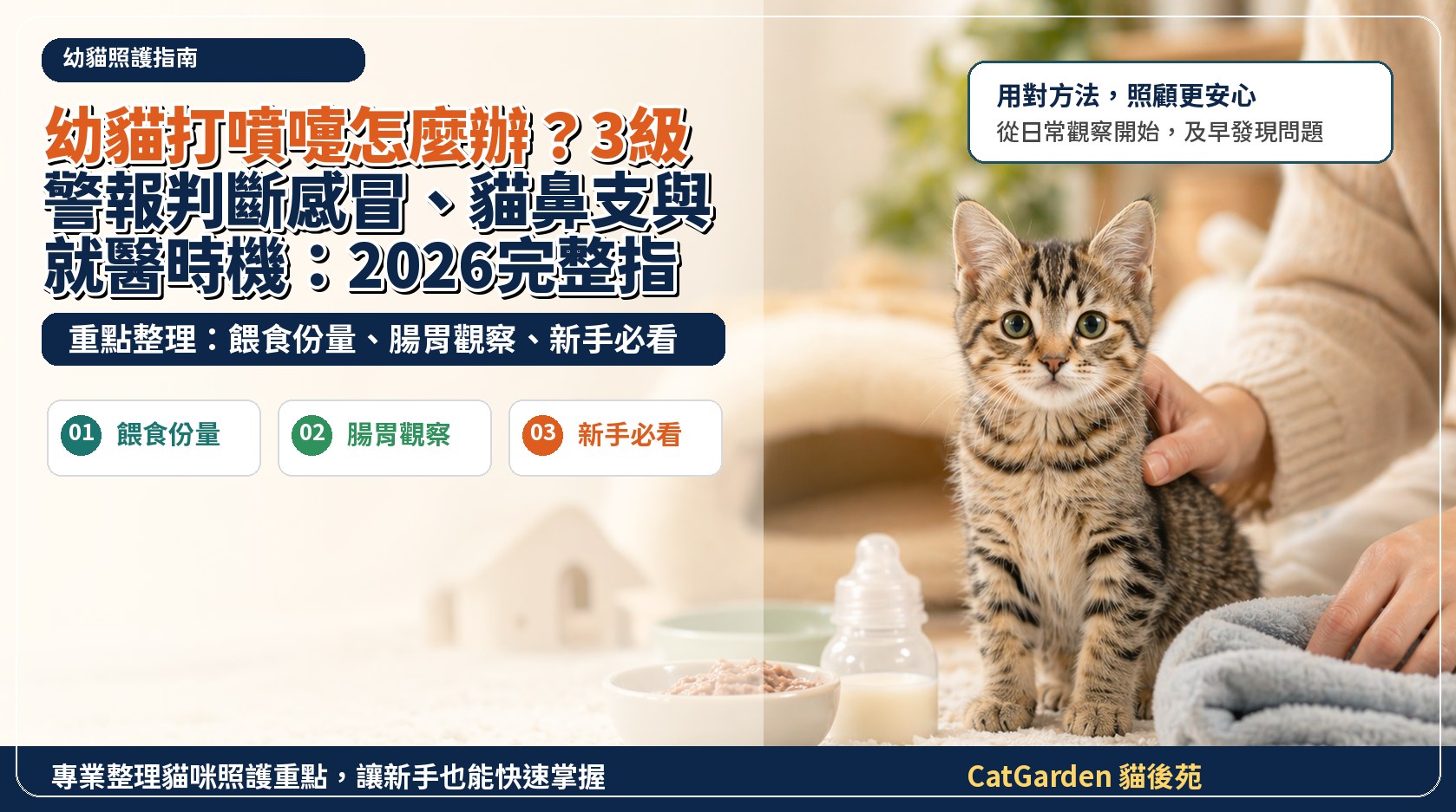 幼貓打噴嚏怎麼辦？3級警報判斷感冒、貓鼻支與就醫時機：2026完整指南 封面圖