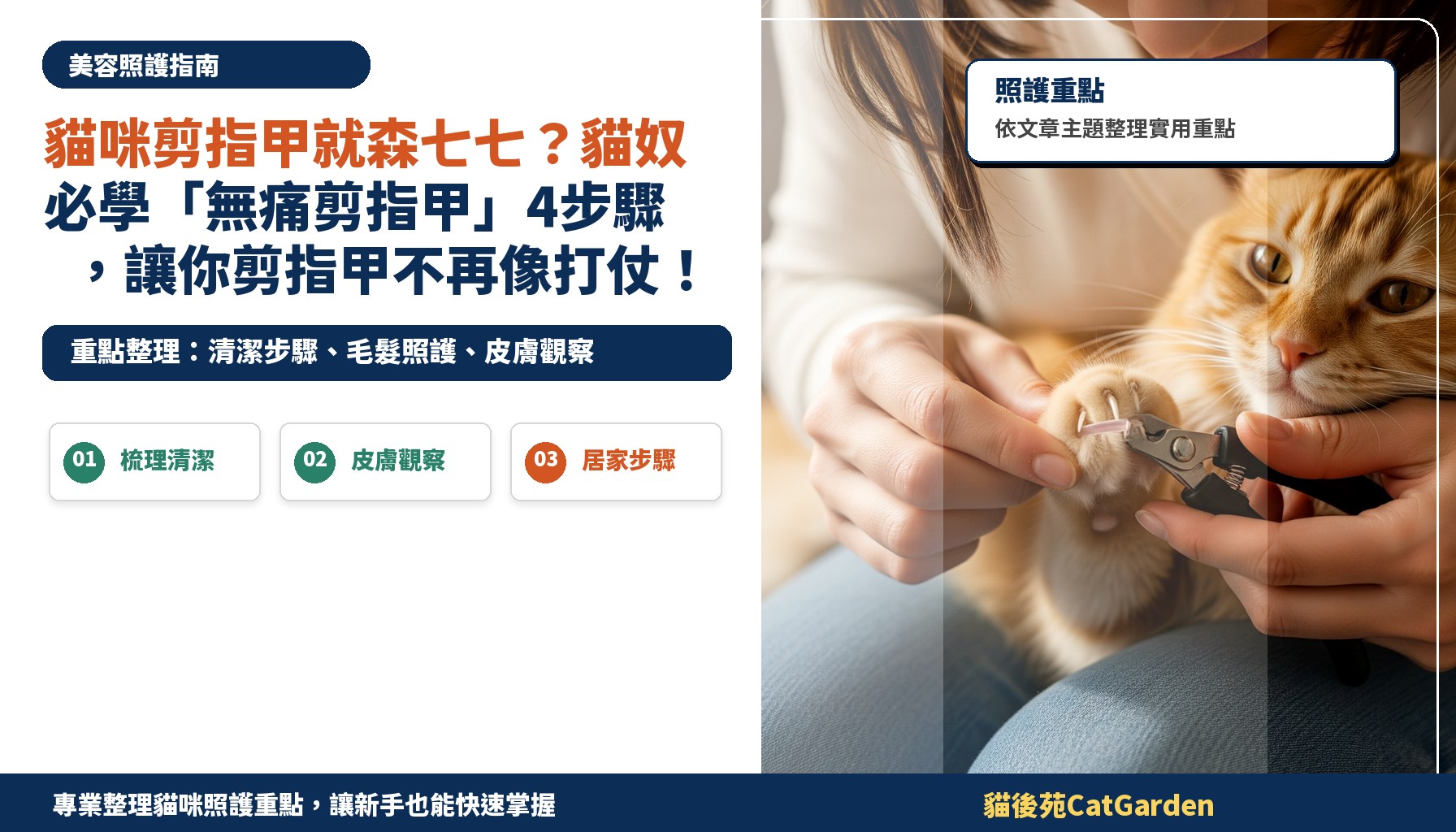 貓咪剪指甲就森七七？貓奴必學「無痛剪指甲」4步驟，讓你剪指甲不再像打仗！
