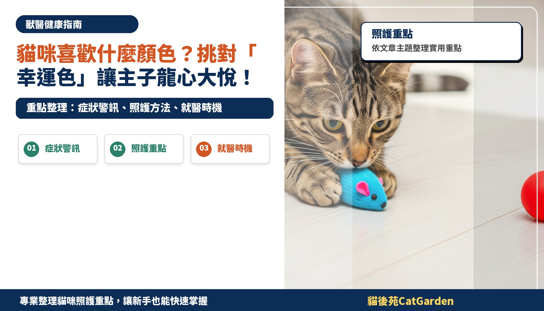 貓咪喜歡什麼顏色？挑對「幸運色」讓主子龍心大悅！