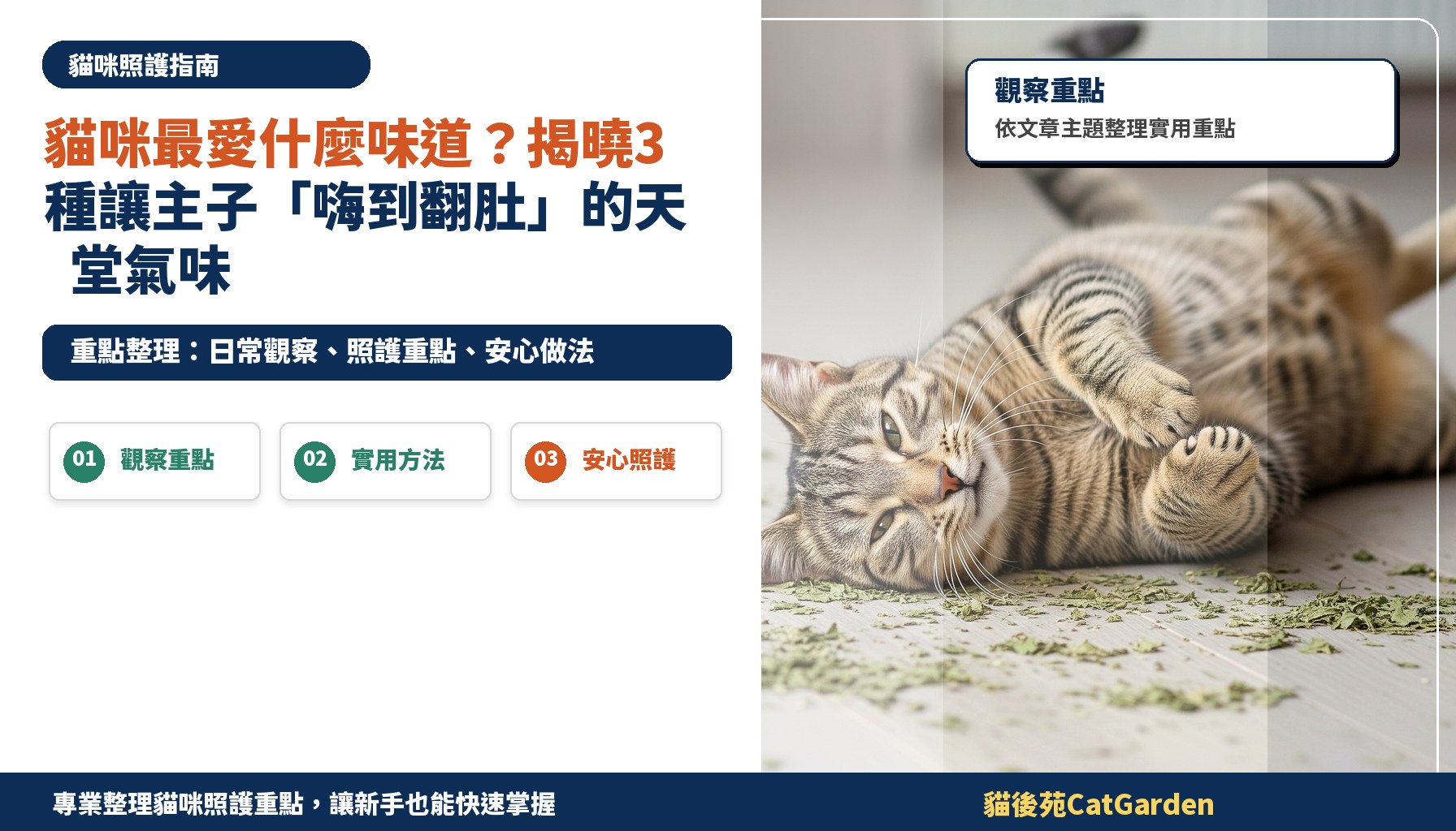 貓咪最愛什麼味道？揭曉3種讓主子「嗨到翻肚」的天堂氣味