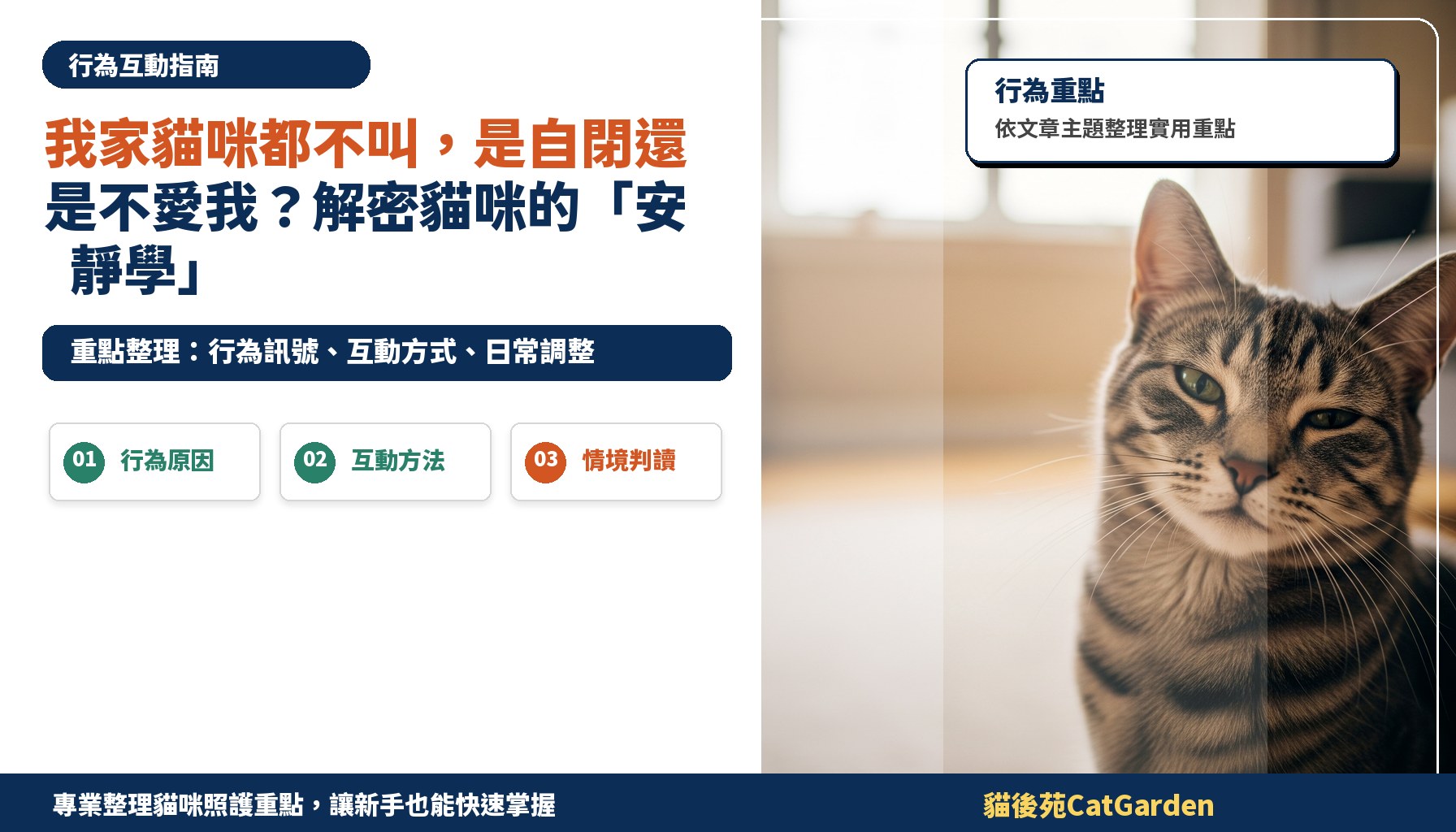 我家貓咪都不叫，是自閉還是不愛我？解密貓咪的「安靜學」