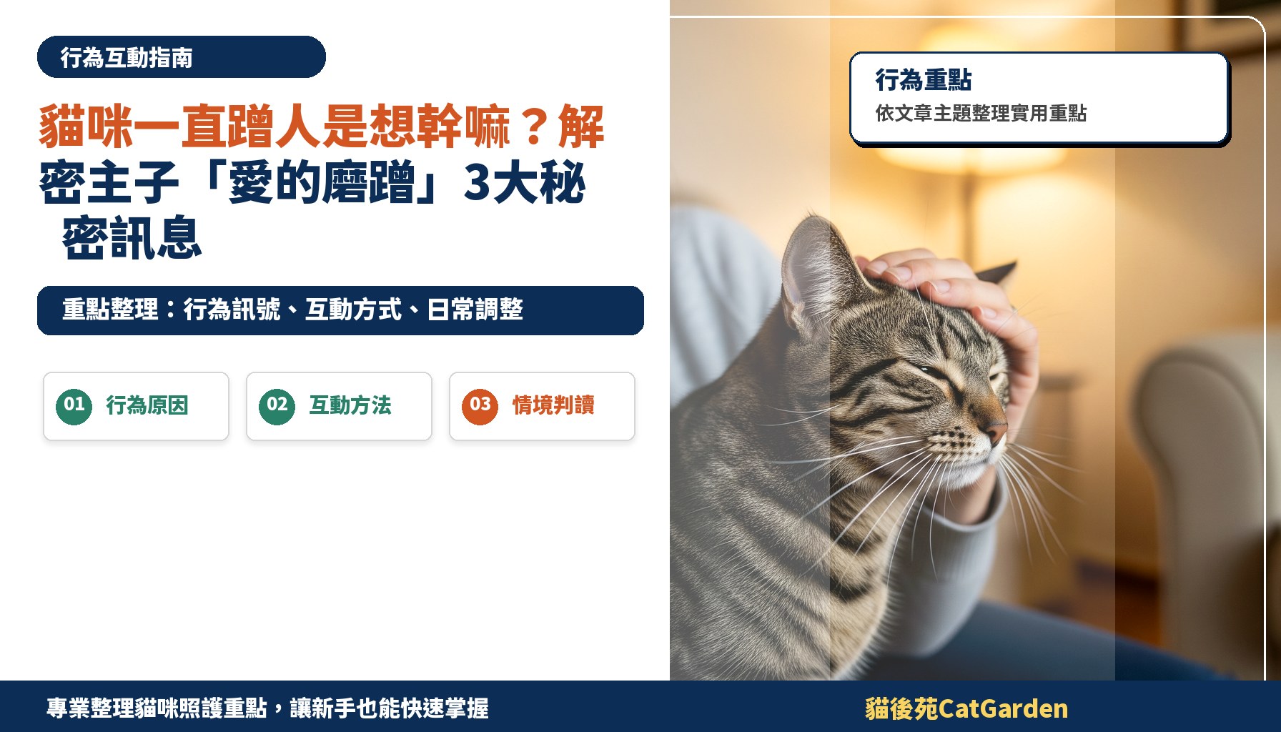 貓咪一直蹭人是想幹嘛？解密主子「愛的磨蹭」3大秘密訊息