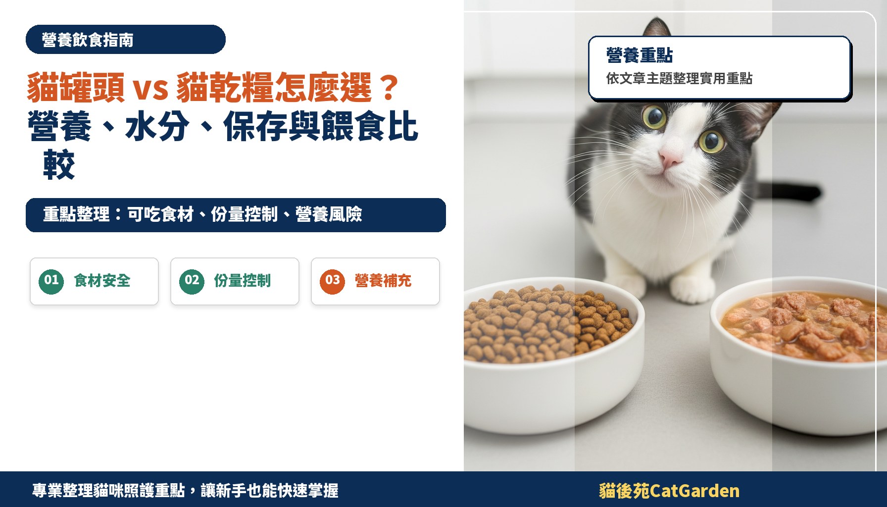 貓罐頭 vs 貓乾糧怎麼選？營養、水分、保存與餵食比較