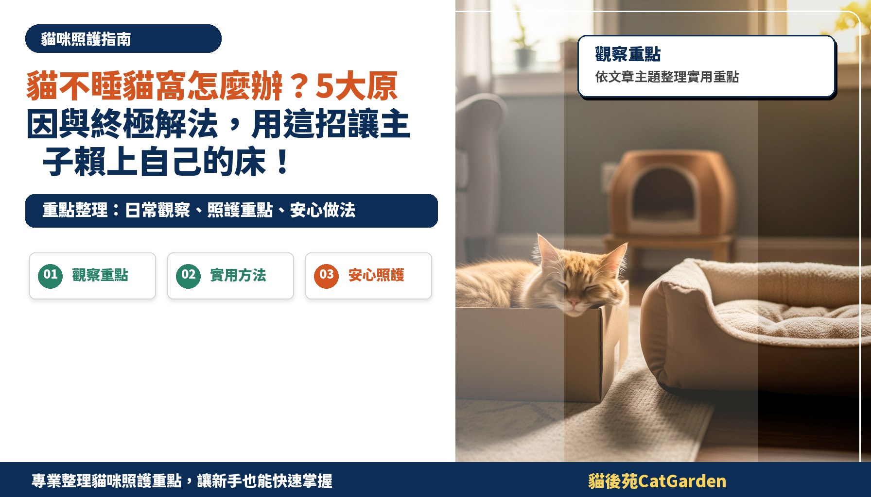 貓不睡貓窩怎麼辦？5大原因與終極解法，用這招讓主子賴上自己的床！