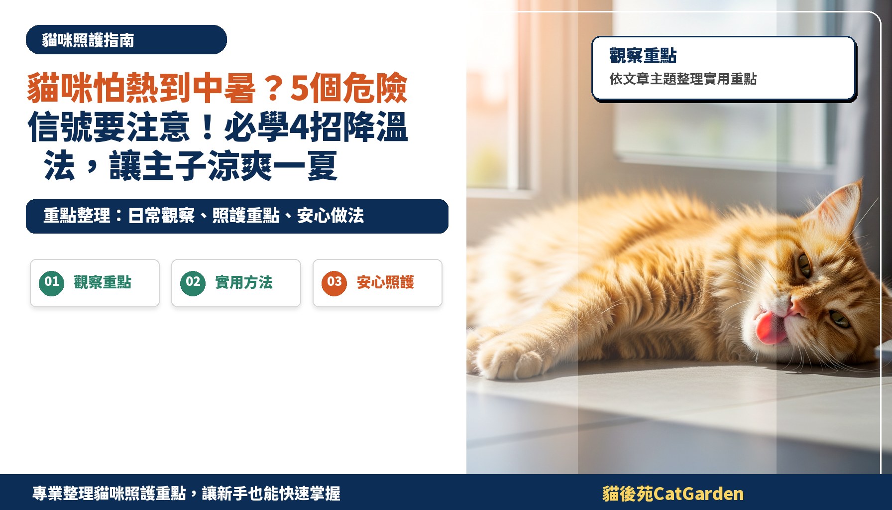 貓咪怕熱到中暑？5個危險信號要注意！必學4招降溫法，讓主子涼爽一夏