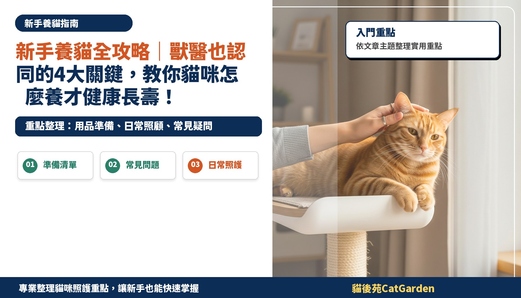 新手養貓全攻略｜獸醫也認同的4大關鍵，教你貓咪怎麼養才健康長壽！