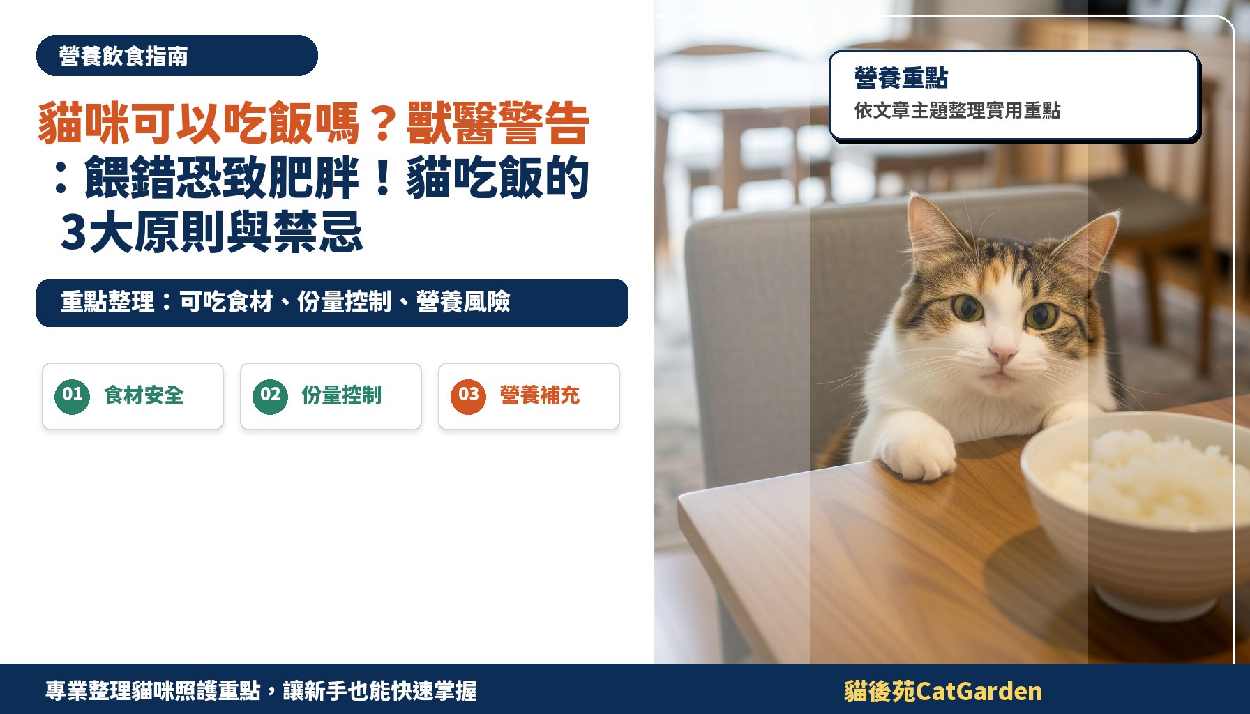 貓咪可以吃飯嗎？獸醫警告：餵錯恐致肥胖！貓吃飯的3大原則與禁忌