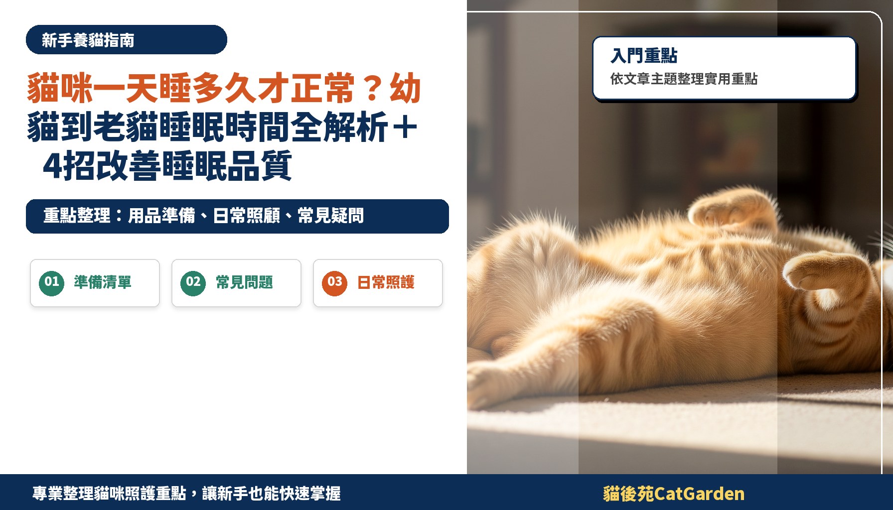 貓咪一天睡多久才正常？幼貓到老貓睡眠時間全解析＋4招改善睡眠品質