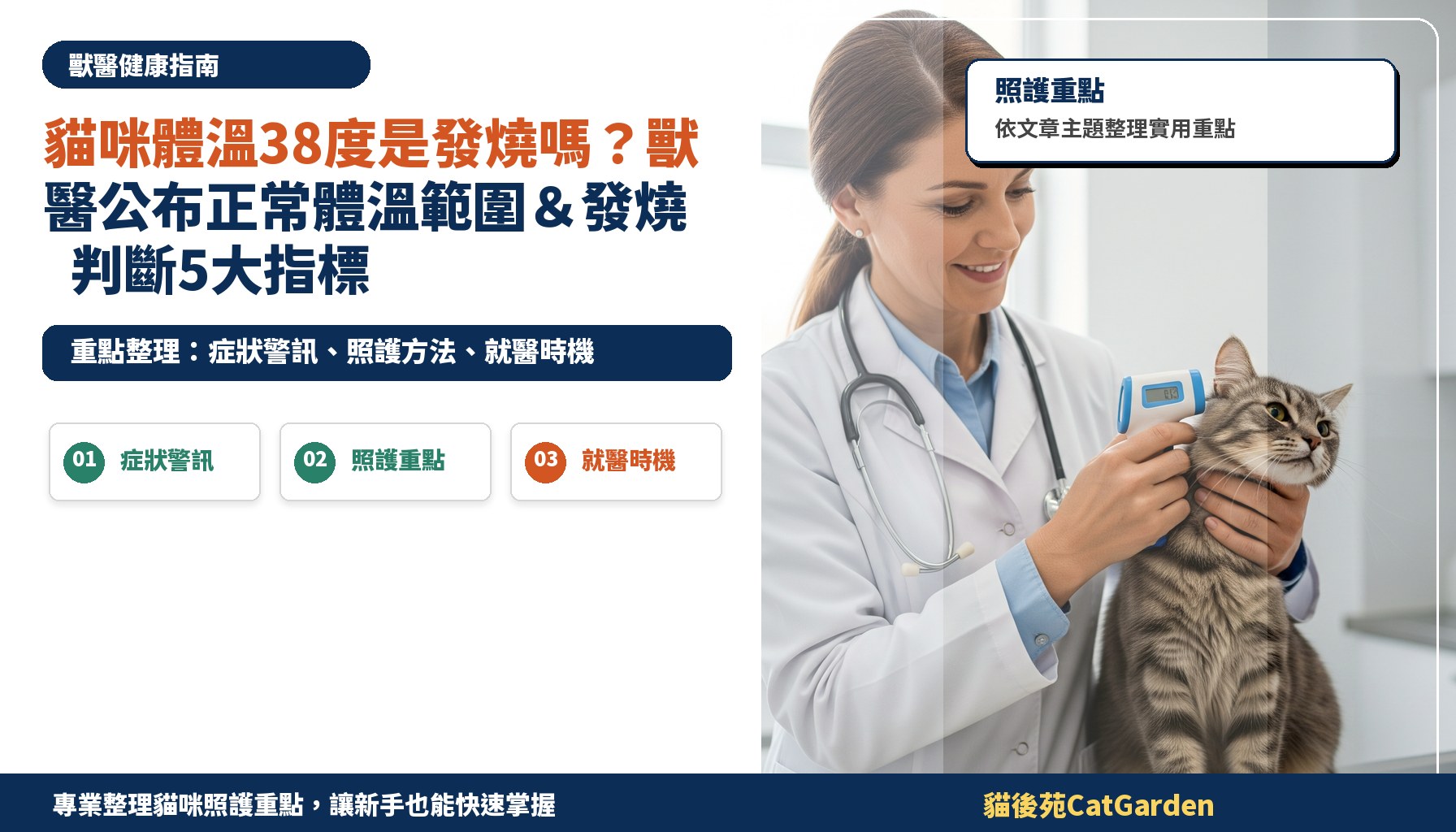 貓咪體溫38度是發燒嗎？獸醫公布正常體溫範圍＆發燒判斷5大指標