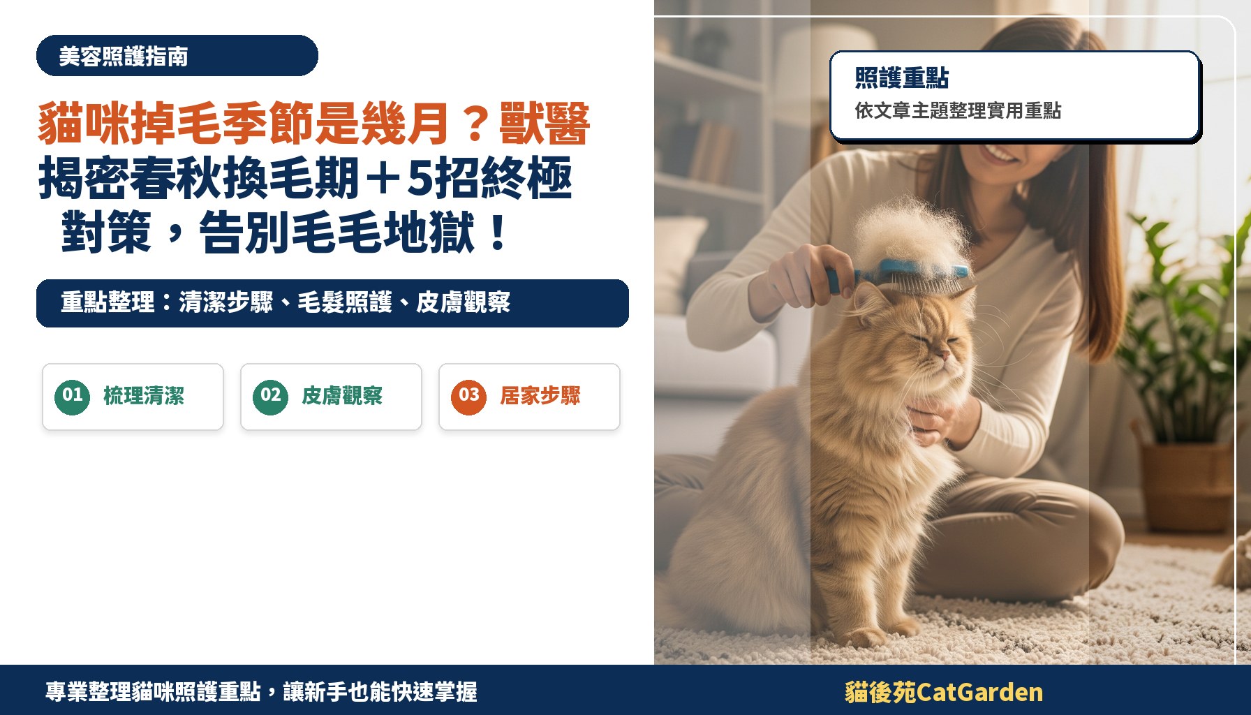 貓咪掉毛季節是幾月？獸醫揭密春秋換毛期＋5招終極對策，告別毛毛地獄！